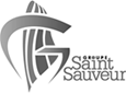 Groupe Saint Sauveur copie.png